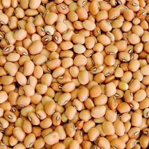 Premium Soybeans