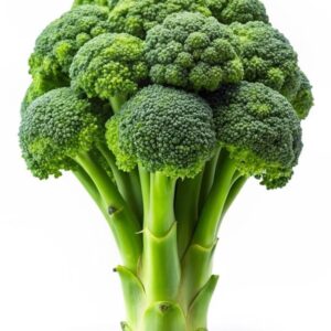 Fresh Broccoli
