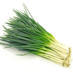 Fresh Spring Onions (Green Onions)