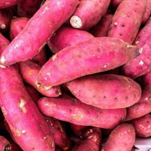 Fresh Sweet Potatoes (Ibijumba)