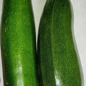 Fresh Zucchini (Courgette)